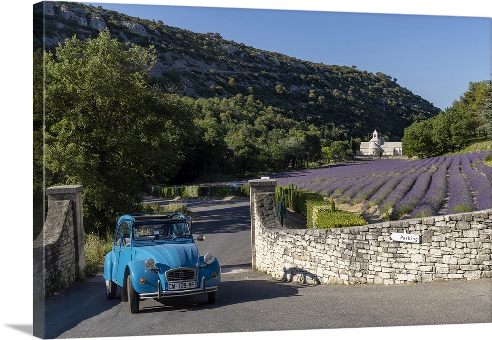 France, Provence-Alpes-Cote d'Azur, Gordes, Citroen 2CV  in front of Senanque abbey (abbaie de Senanque) & field of lavender