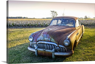 Clarksdale, Mississippi, Cotton Field, Vintage Buick Super