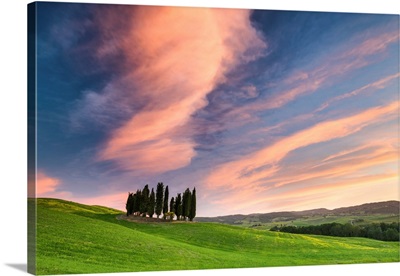 Cloudscape Over Cypress Trees, Val d'Orcia, Tuscany, Italy