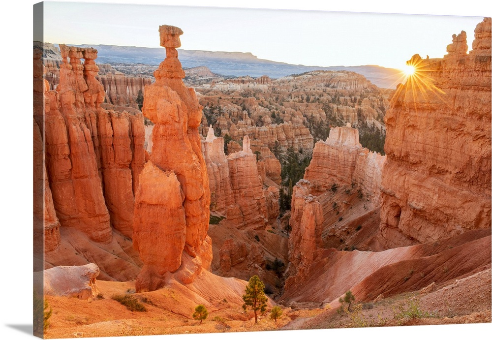 USA, Southwest, Colorado Plateau, Utah, Bryce Canyon, National Park, UNESCO, World Heritage
