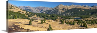 Colorado, San Juan Mountains, San Juan National Forest, Molas Pass