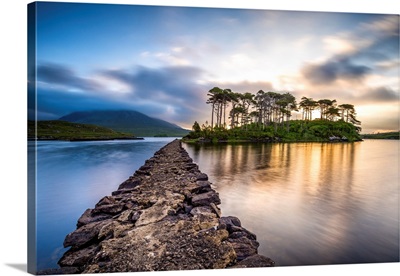 Connemara, County Galway, Connacht Province, Ireland Lough Inagh Lake With Pines Island