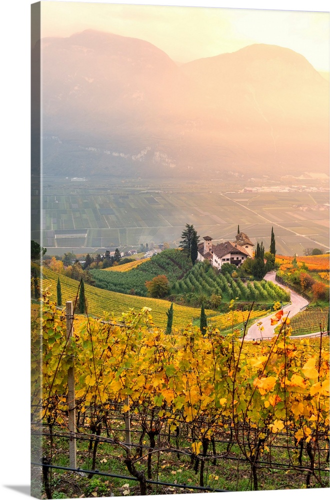 Cortaccia On The Wine Route-Europe, Italy, Trentino Alto Adige, South Tyrol, Cortaccia, Bolzano Province.