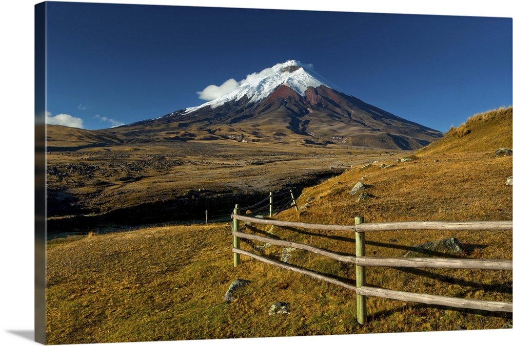 Cotopaxi National Park, Snow-Capped Cotopaxi Volcano, One OF The Highest Active Volcanoes, High Plains Grasslands Or Param...