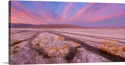 Cottonball Basin Salt Flats, Death Valley National Park, California, USA