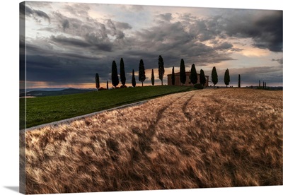 Countryhouse Near Pienza During A Cloudy Sunset In Summer, Val d'Orcia, Tuscany, Italy