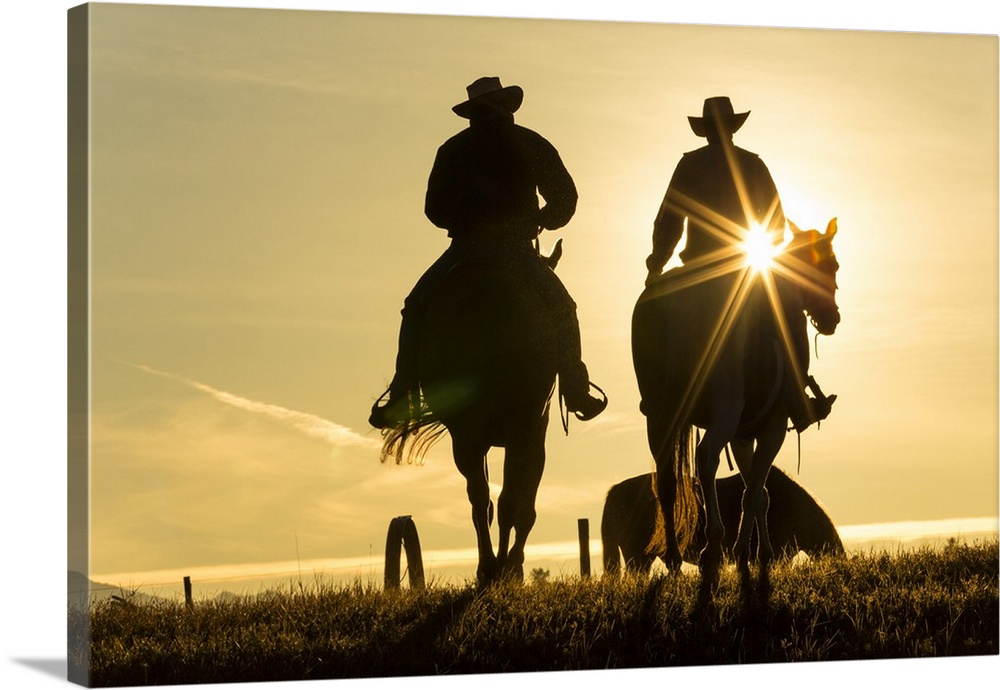 Cowboys on horses, sunrise, British Colombia, Canada.