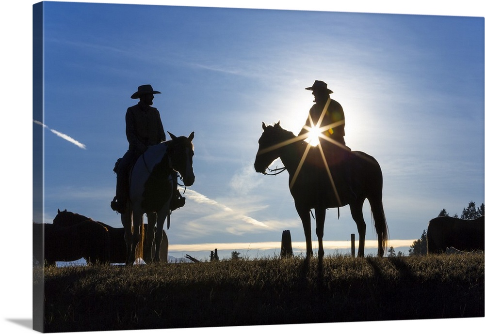 Cowboys on horses, sunrise, British Colombia, Canada.
