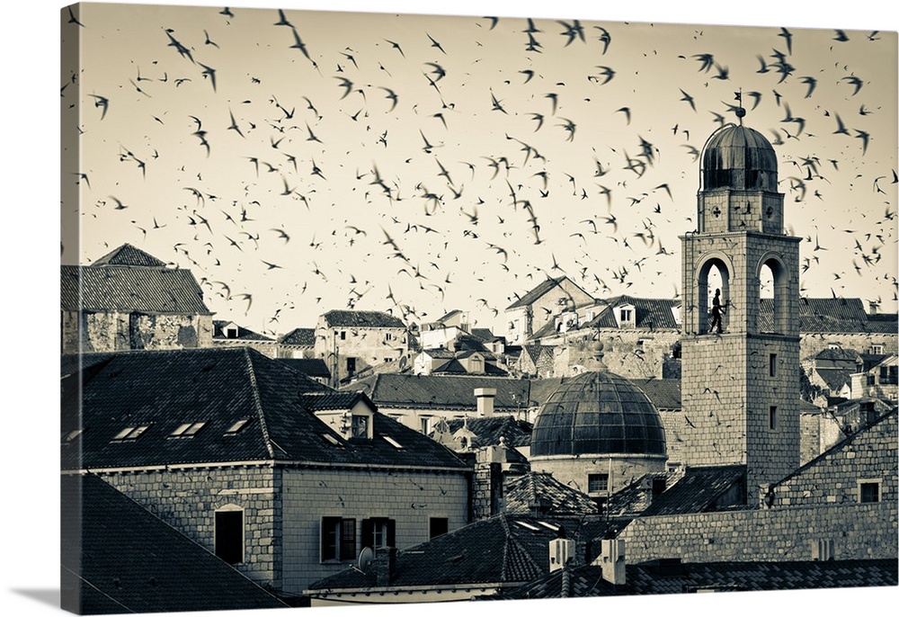 Croatia, Dalmatia, Dubrovnik, Old Town (Stari Grad), Clock Tower surrounded by birds