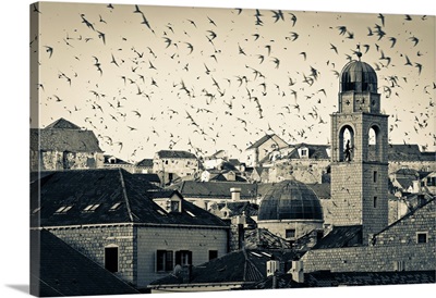 Croatia, Dalmatia, Old Town (Stari Grad), Clock Tower surrounded by birds