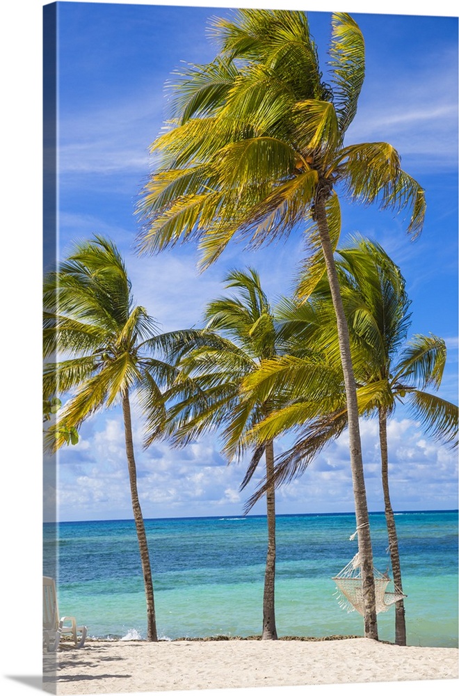Cuba, Holguin Province, Hammock between palm trees on Playa Guardalvaca.