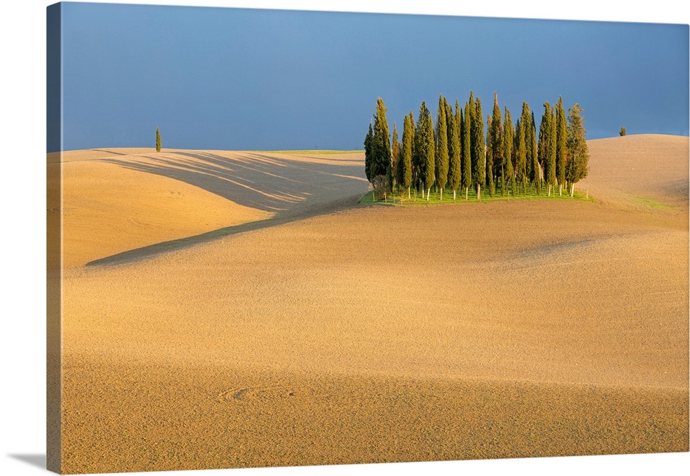 Cypress Trees In Val d'Orcia, Plowed Field And Stormy Weather. Tuscany, Italy