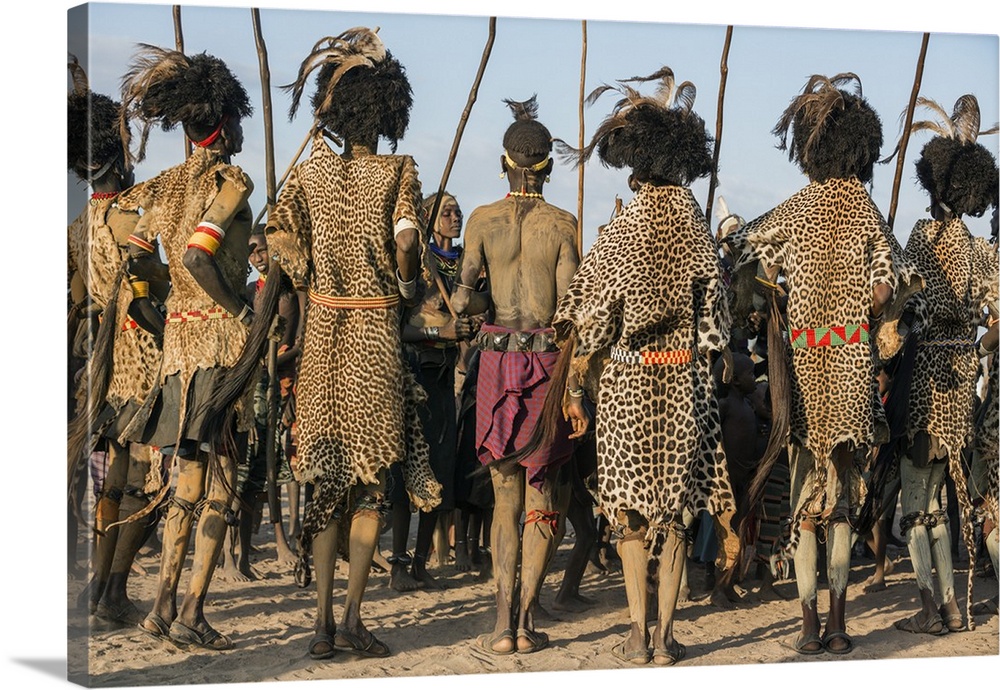 Dassanech men and their wives dressed in ceremonial regalia participate in a Dimi dance, Ethiopia.