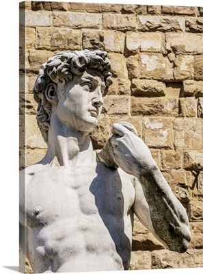 David Statue, Piazza Della Signoria, Florence, Tuscany, Italy