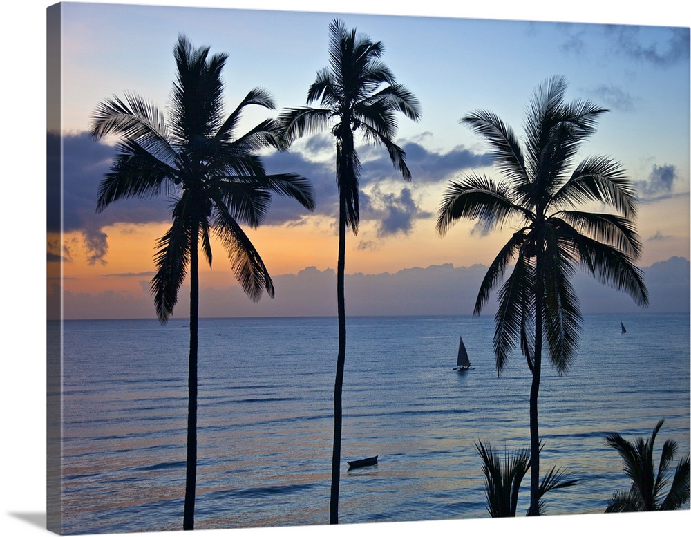 Dawn at Msambweni, south of Mombasa.