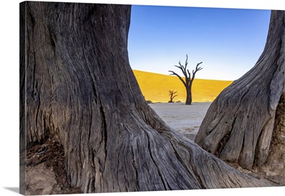 Deadvlei, Naukluft National Park, Namibia