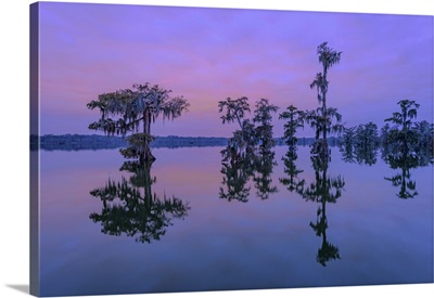 Deep South, Louisiana, St. Martin Parish, Lake Martin