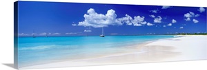 Deserted Beach, Barbuda, Caribbean, West Indies image thumbnail