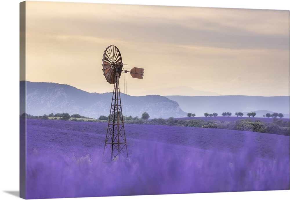 Dissused wind pump amongst lavender fields, Valensole Plateau, Provence, France