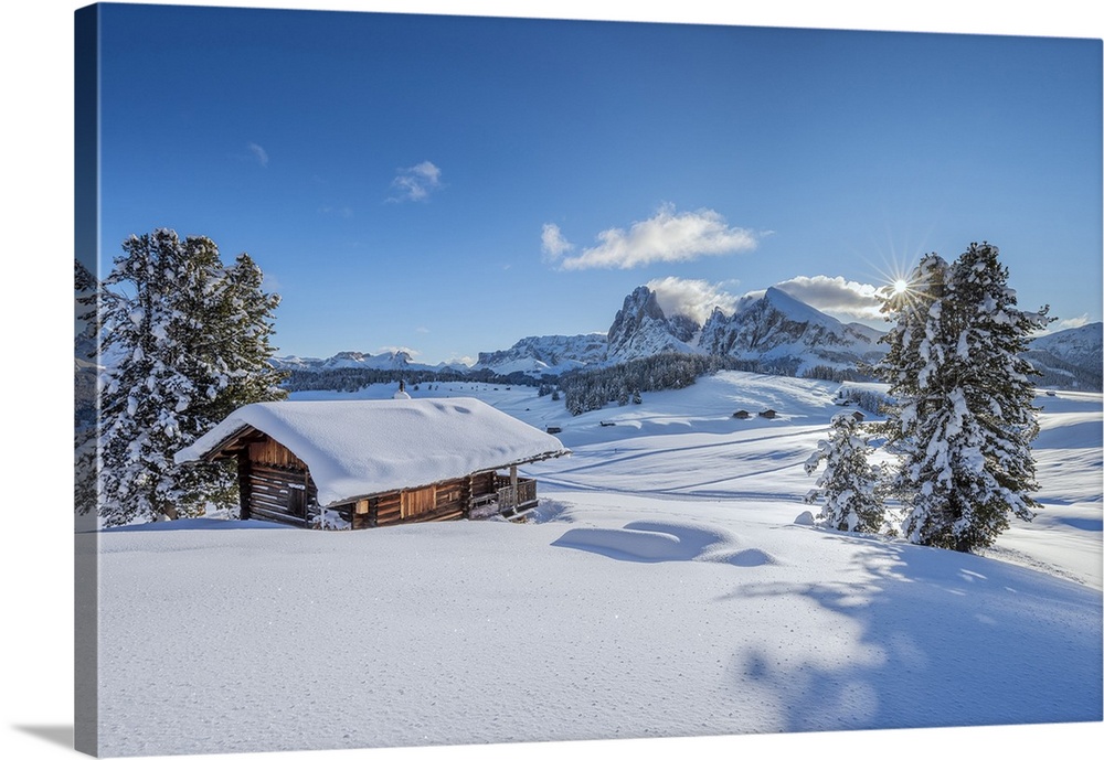 Alpe di Siusi/Seiser Alm, Dolomites, South Tyrol, Italy. The Alpe di Siusi/Seiser Alm with the peaks of Sassolungo/Langkof...