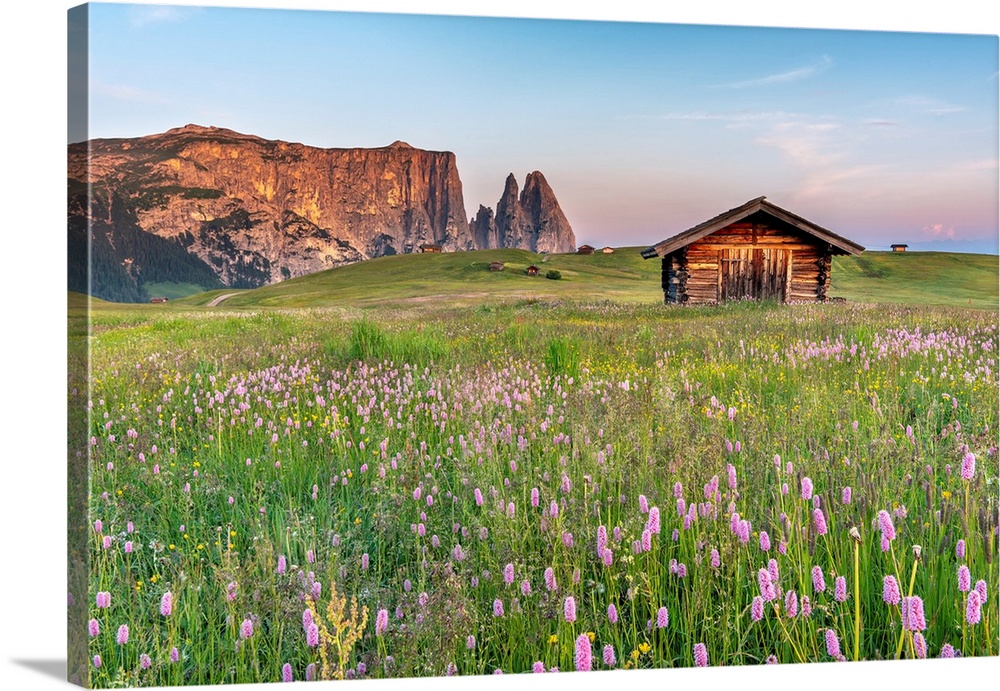 Alpe di Siusi/Seiser Alm, Dolomites, South Tyrol, Italy. Sunrise on the Alpe di Siusi/Seiser Alm. In the background the pe...