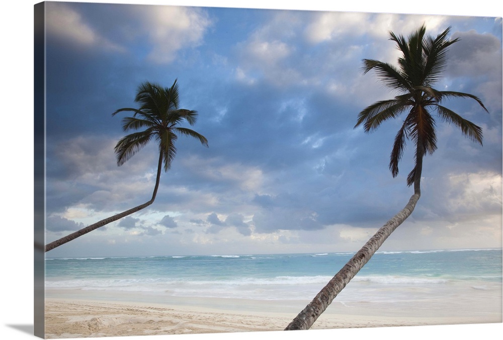 Dominican Republic, Punta Cana Region, Bavaro, Bavaro beach palms, dawn
