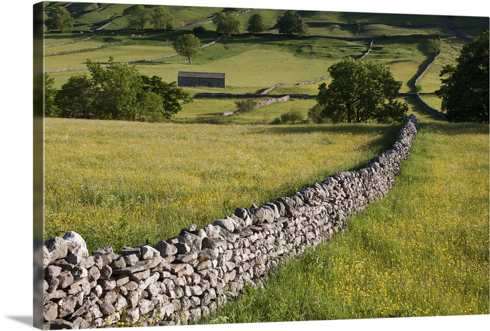Drystone wall landscape, Wharfedale, Yorkshire Dales National Park.