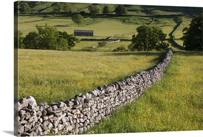 Drystone wall landscape, Wharfedale, Yorkshire Dales National Park