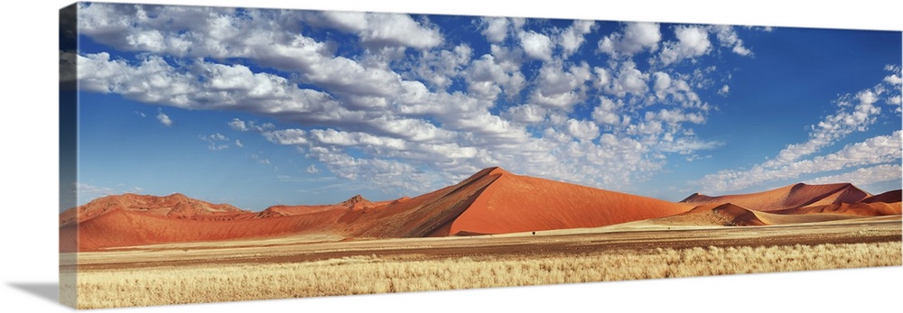 Dune impression in Namib. Namibia, Hardap, Namib, Tsauchab River. Namib Naukluft National Park. Africa, Namibia.