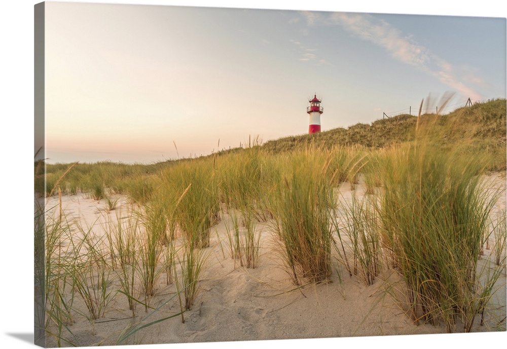 Dune landscape at the List-Ost lighthouse on the Ellenbogen Peninsula, Sylt, Schleswig-Holstein, Germany