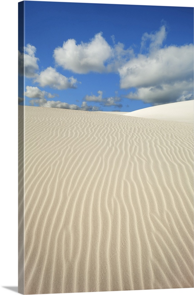 Dune landscape near Cervantes. Australia, Western Australia, Midwest, Nambung National Park, Cervantes. Western Australia,...