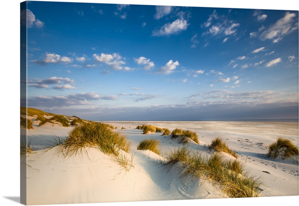 Dunes, Amrum Island, Northern Frisia, Schleswig-Holstein, Germany