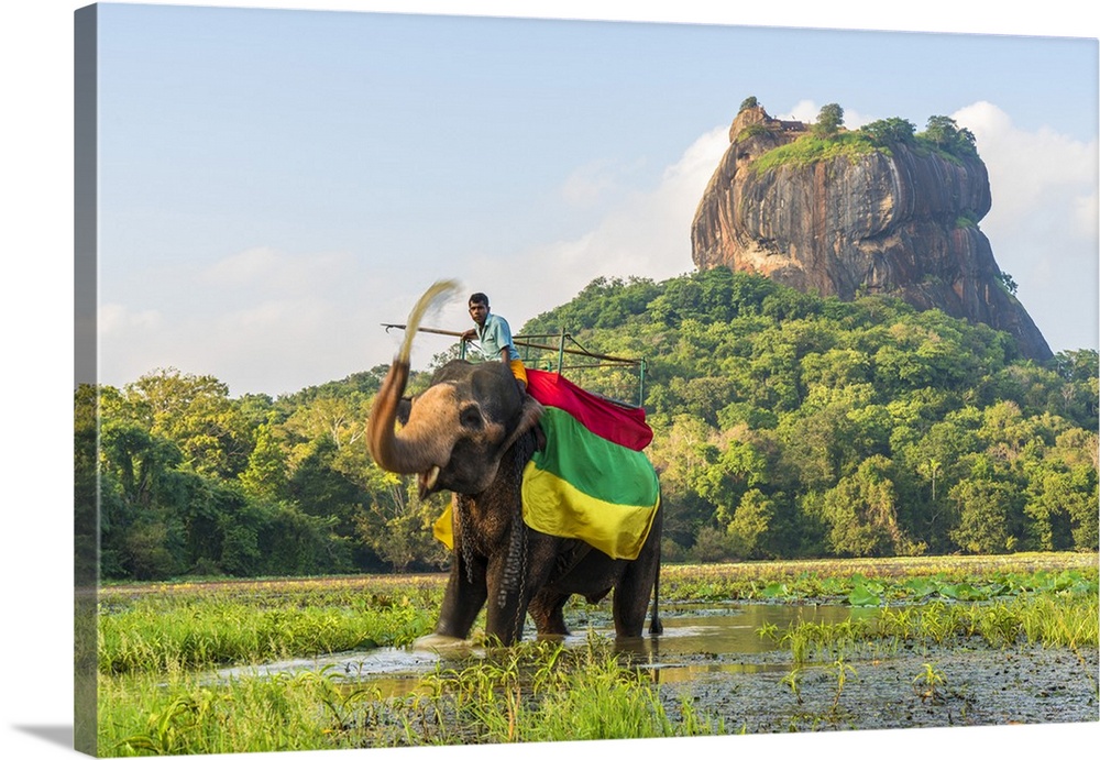 Elephant ride with Lion Rock, Ancient Rock Fortress behind, Sigiriya, Sri Lanka.