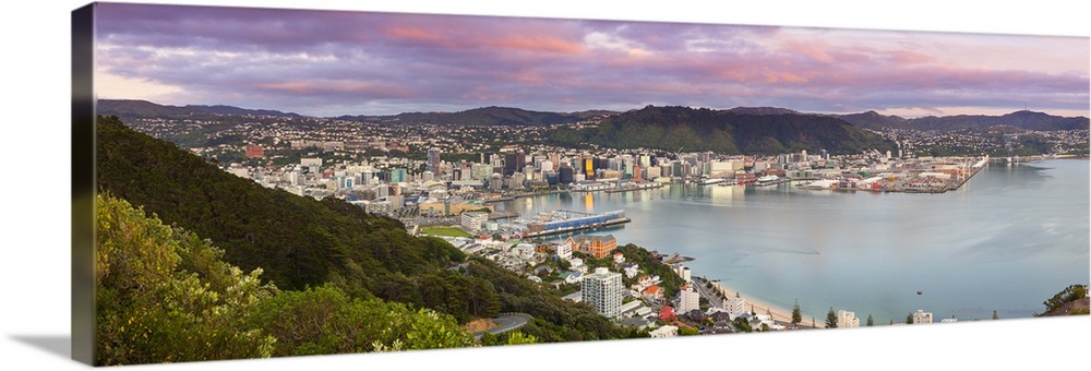 Elevated view over central Wellington illuminated at sunrise, Wellington, North Island, New Zealand
