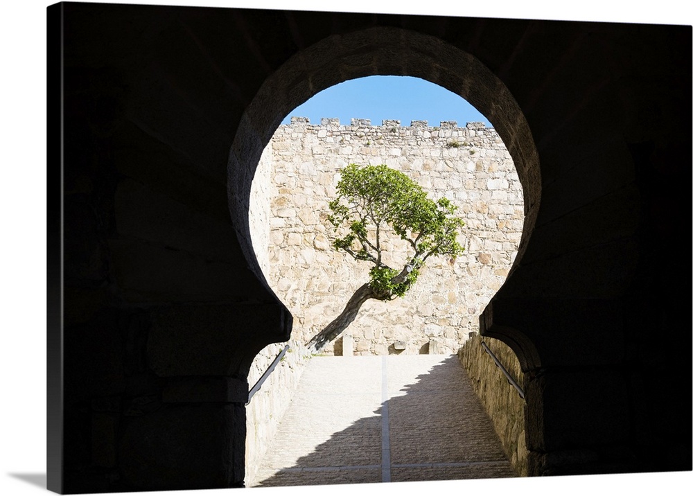 Horseshoe shape arch framing the tree at the entrance gate of Castillo de Trujillo (Trujillo Castle), Extremadura, Caceres...