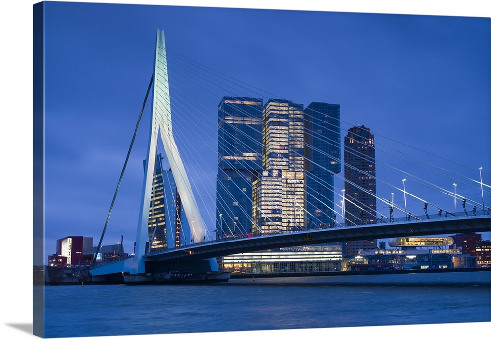 Netherlands, Rotterdam, Erasmusbrug bridge and new commerical towers at the renovated docklands, dawn.