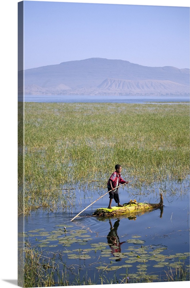 Ethiopia, Lake Awassa. A young boy punts a traditional reed Tankwa through the reeds.