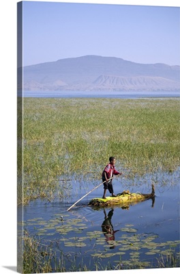 Ethiopia, Lake Awassa, A young boy punts a traditional reed Tankwa through the reeds