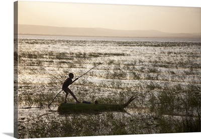 Ethiopia, Lake Awassa, A young boy punts a traditional reed Tankwa through the reeds
