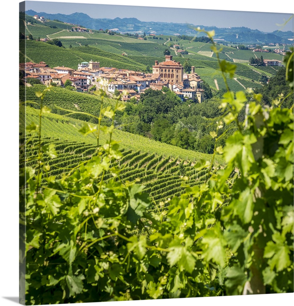 Europe, Italy, Piedmont. View of Barolo surrounded by vineyards.