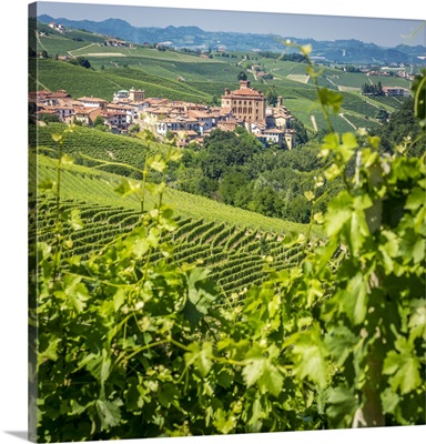 Europe, Italy, Piedmont, Barolo surrounded by vineyards
