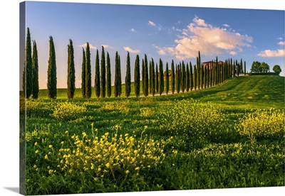 Europe. Italy. Tuscany. Siena District. Orcia Valley. Covili farmhouse at sunset