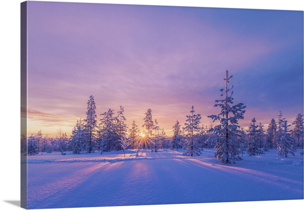 Europe, Lapland, Finland, sunset on the woods in Rovaniemi area. Lapland, Western Europe, Finland.