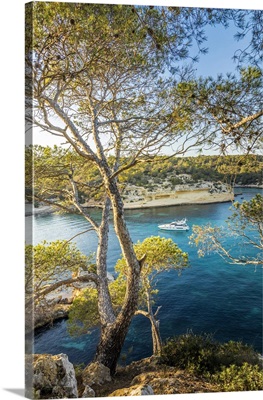 Evening Mood At Cala Portals Vells, Mallorca, Balearic Islands, Spain