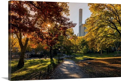 Fall foliage at Central Park, Manhattan, New York