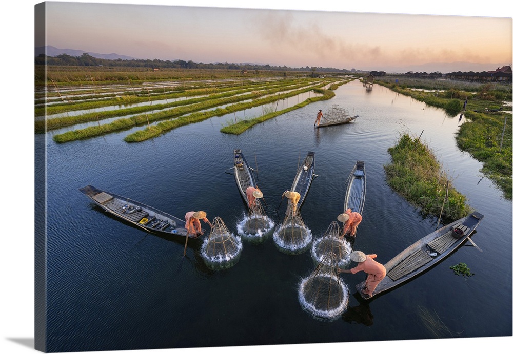 High angle of five traditional fishermen fishing together using conical nets, Lake Inle, Nyaungshwe Township, Taunggyi Dis...