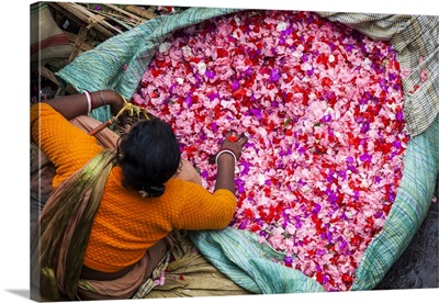 Flower market, Kolkata (Calcutta), India
