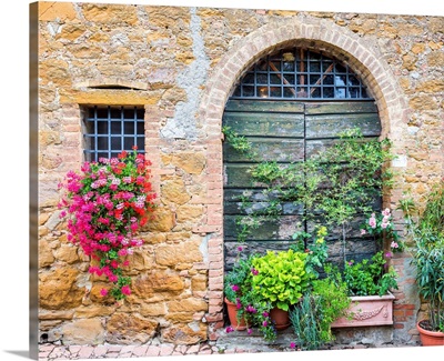 Flowers And Green Door, Monitisi, Tuscany, Italy