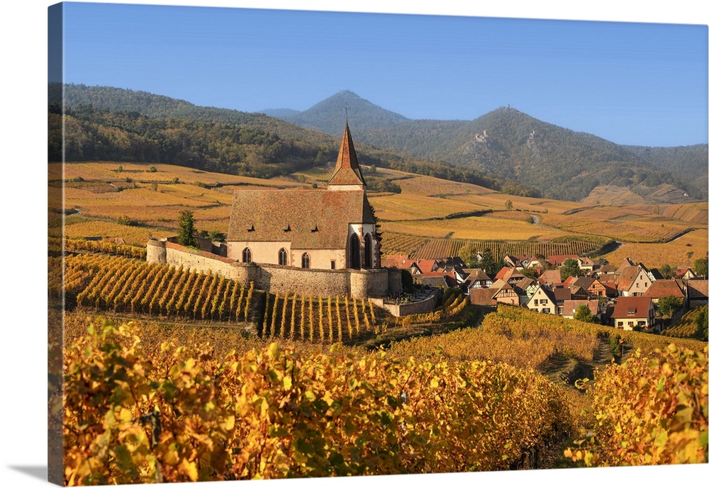 Fortified church of Saint Jacques, Hunawihr, Alsace, Alsatian Wine Route, Haut-Rhin, France.