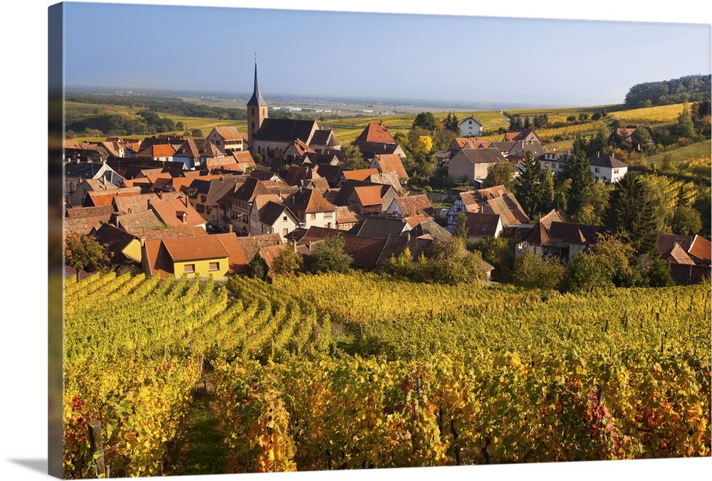 France, Bas-Rhin, Alsace Region, Alasatian Wine Route, Blienschwiller, town overview from vineyards, autumn